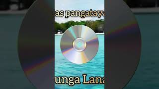 Bunga lanaiiklas pangatayan  bajau music short shorts [upl. by Liatnahs]