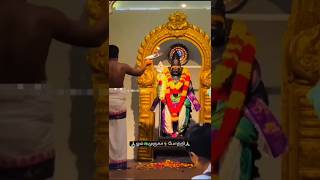 முருகனின் தீபர்த்தணை வழிபாடு 🙏🪔🙏god murugan devotional devotionalsong [upl. by Nihs]