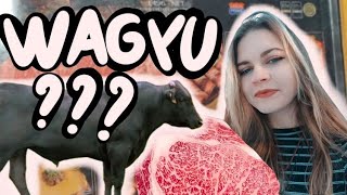 Vlog 4  JE GOUTE DU WAGYU [upl. by Eob]