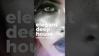 Elegant Deep House Music deephouse chillout msolrecords chillhouse [upl. by Friedly]