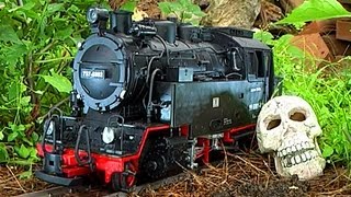 G Scale Train Newqida LGB 6 Month Chernobyl Urban Decay Effects [upl. by Dirraj121]