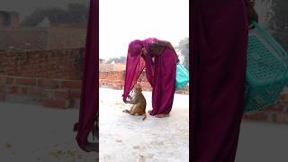 Jab tum aa jate ho samne song music hindisong monkey monkeyvideosforkids [upl. by Aisyla880]