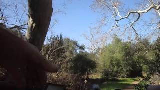 Pedego Ridge Rider Emountain bikeSingle Track RideBelt Cam [upl. by Adekam712]