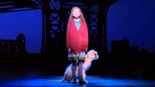 ANNIE on Broadway Tomorrow [upl. by Ansilma662]