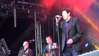 THE POGUES live FETE DU BRUIT LANDERNEAU 2014 [upl. by Sisxela]