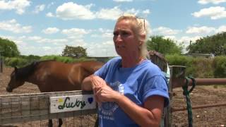 Verify Is a San Antonio ranch offering horse hunting [upl. by Freedman]