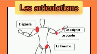 Les articulations [upl. by Anastase]