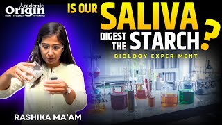 Is our saliva digest the starch  Biology Experiment  By Rashika Maam [upl. by Tisbe917]