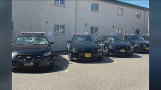 Ontario woman damaged city vehicles police say [upl. by Yarak170]