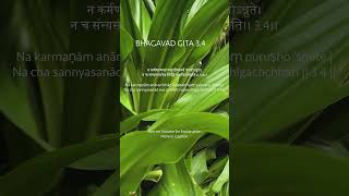 Bhagavad Gita Chapter 3Verse 04  Action vs Renunciation Just Sudha Gyan [upl. by Ubana711]