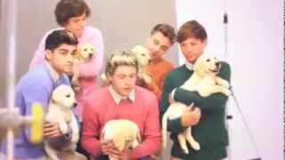 One Direction and puppies Wonderland Behind the Scenes of the Cover Full [upl. by Karil]