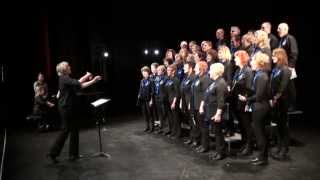 Vox Harmony Choir Performs Lullabye Goodnight My Angel [upl. by Anam]