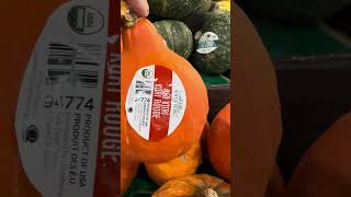 Discover the Rarest Squash Variety Kuri Rouge in Your Produce Area KuriRouge squash shorts [upl. by Anibla20]