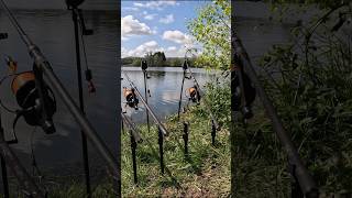 Auf Biegen und Brechen 😱 was ein kranker Biss 💥 shorts carprun carpfishing karpfenangeln [upl. by De113]