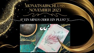 💞Monatsabschluss November 2023│ 😳Minus oder Plus [upl. by Aidan104]