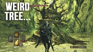 WEIRD REPAIR TREE Dark Souls 2  Crown Of The Sunken King DLC [upl. by Eylrahc]