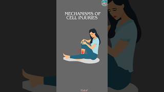 What are the Mechanisms of Cell Injuriescellinjury celular [upl. by Ytram]