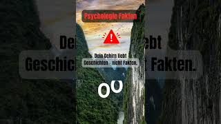 Psychologie Fakten  Das Gehirn liebt Geschichten faktenvideo psychologiefakten [upl. by Ayikur583]