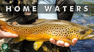 Home Waters  Fly Fishing for BIG Trout [upl. by Soutor]