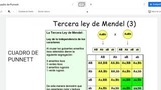 Cuadro de Punnett 2 características [upl. by Augie]