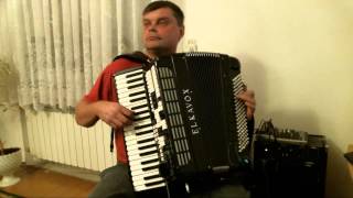 Biełyje rozy Белые розы  akordeon cover [upl. by Horner460]