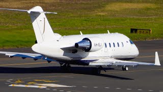 Bombardier Challenger 650 Takeoff from Sydney  J Group Aviation [upl. by Thurnau132]