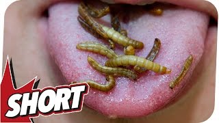 Esst mehr Insekten  Welthunger gelöst [upl. by Areip]