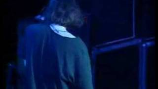 Gin Blossoms  Until I Fall Away Live in Chicago [upl. by Canute]