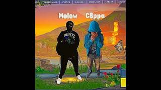 molow  show us ft c8ppa layne polo [upl. by Mikaela]