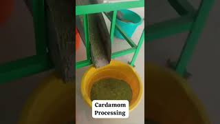 Cardamom auction live elaichi wholesale business [upl. by Perusse]