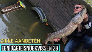 ZIEKE AANBETEN IN AMSTERDAM  Een dagje snoekvissen 28 [upl. by Feldstein]