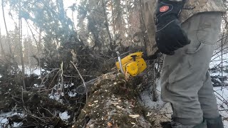 Safari 377 dragging a log home Mac 10 10 chainsawfirewood dec 8 2024 [upl. by Aekan140]