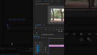 Multiple Masks Create ചെയ്‌യാം  Alpha Adjust Effect Premiere Pro [upl. by Surovy]