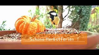 Schöne Herbstferien [upl. by Loux110]