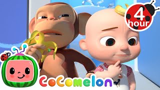 Learning To Wait Your Turn  More  Cocomelon  Nursery Rhymes  Fun Cartoons For Kids  3 Hours [upl. by Machutte811]