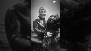 haruo nakajima vs the man in the suit [upl. by Shaylynn]