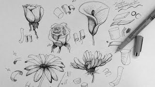 Pen amp Ink Drawing Tutorial  How to draw flowers part 1 [upl. by Colpin]