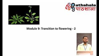 Module 9 Transition to Flowering  2 EPGPathshala [upl. by Ailedua]