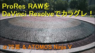 ProRes RAWをDaVinci Resolveでカラグレ！  α7SⅢ amp ATOMOS Ninja V [upl. by Oinotla]