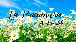 La Primavera  A Vivaldi  MUSICOGRAMA [upl. by Ttocserp]