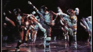 Cats the Musical Video Cast [upl. by Narmak]