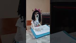 Cruciverba😎😂 jackrussell indovinelli merybijouesciarpina comedy Cruciverbi [upl. by Gayle]