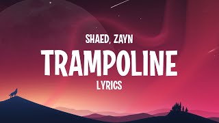 SHAED amp ZAYN  Trampoline Lyrics [upl. by Aeila]