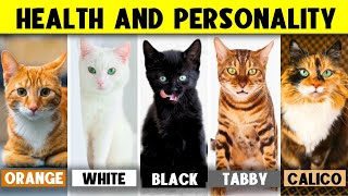 What Your Cats Color Says About Their Health and Personality 🔥 [upl. by Hsima]