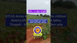 65 Acres Agriculture land sale  chittoor districtAP kalikiri  Acre  14 lakhsTirupati  60 km [upl. by Kirbie]