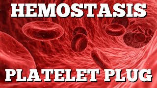 Primary Hemostasis Platelet Plug Formation StepbyStep Animation [upl. by Atipul271]