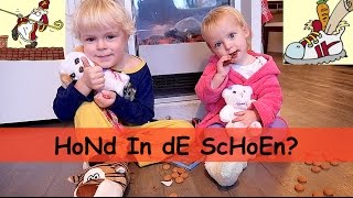 SCHOEN ZETTEN 2016  Bellinga SINTERKLAAS Vlog [upl. by Leanard]