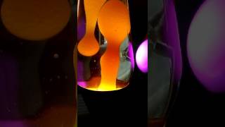 How to refill and redo a Lava lamp [upl. by Yordan849]