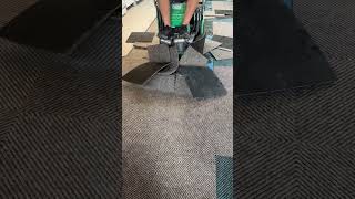 Easy carpet removal construction demo wood carpet construction [upl. by Hosfmann385]