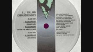 CJ Bolland  Camargue Galaxy Mix [upl. by Nims]